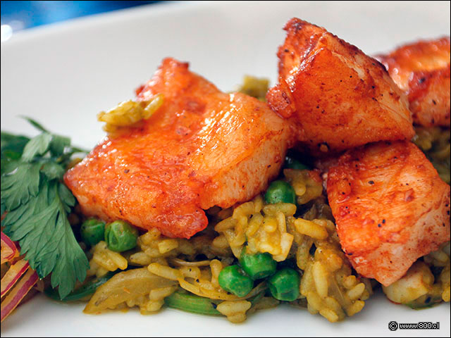 Dados de mero con sals anticuchera sobre arroz verde - Pez Quiero